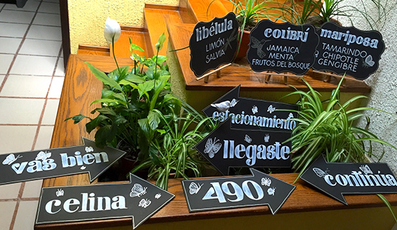Hand written signs for a wedding